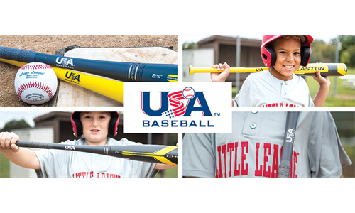 USA Bat Standard